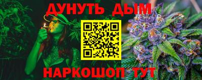 Альфа ПВП Новозыбков