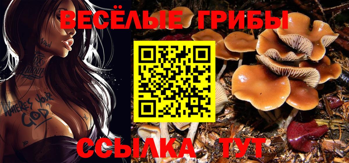 Галлюциногенные грибы мицелий Тимашёвск